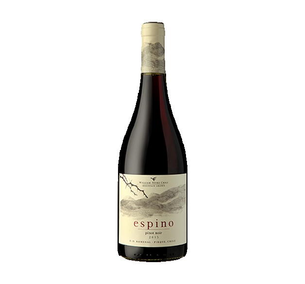 WILLIAM FÃˆVRE "Espino" - Pinot Noir - Maipo Valley - Chile