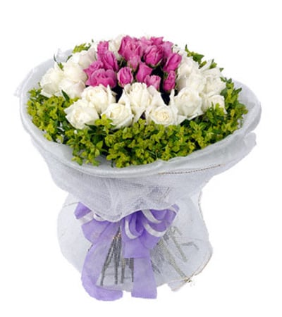 Birthday Flowers Irrigation Young