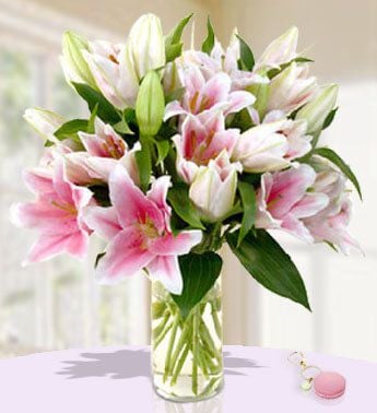 Stargazer (5 Stem of Pink Lilies)