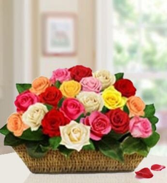 Celebrate The Moment (20 Mixed Roses)