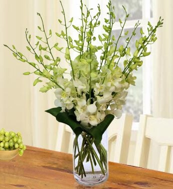 Grand Celebratory (10 White Orchids)