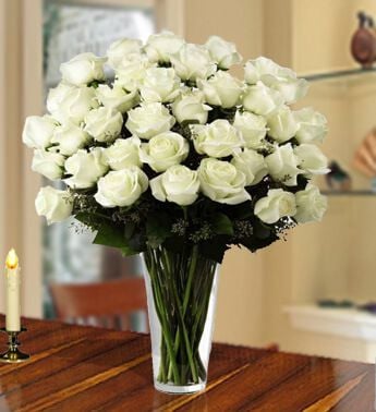 Innocent White (40 White Roses)