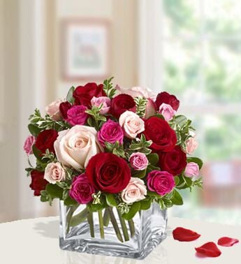 Ravishing Roses (24 Pink , Red And  Peach Roses)