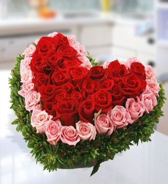 Sweet Love Hamper (25 Red And  25 Pink Roses)