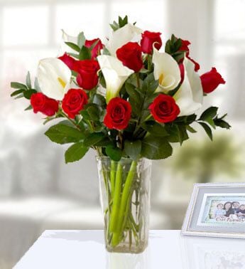 Classicaly (12 Red Rose And  6 White Calla Lilies)