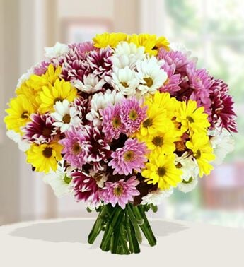 Mourning Bouquet (24 Yellow , 24 Pink ,24 White Chrysanthemums)