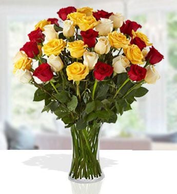 Sensational Color (12 Red , 12 Yellow And  12 White Roses)