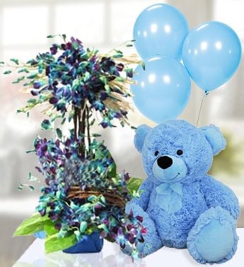 Blooms For Baby Boy
