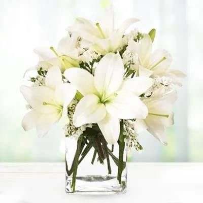 Classic White (Classic)