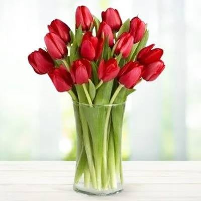 Tulips Love 20 (Classic)