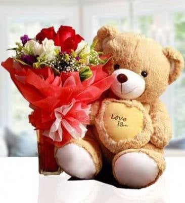 Teddy Love (Classic)