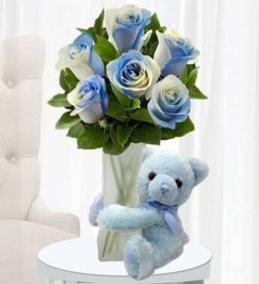 Cuddly Blue (Classic)
