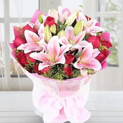 Posh Pinks (Classic)