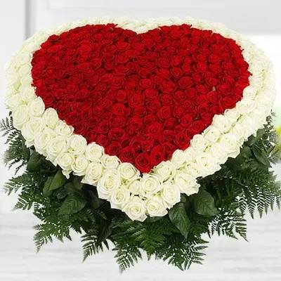 Classic Heart 150 (Classic)