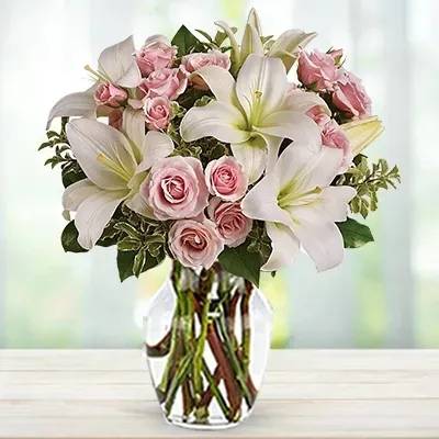 French Country Collection (Classic)