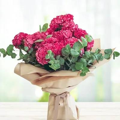 Pink Hydrangea Love (Classic)