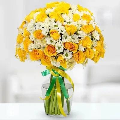Sunny Day Pitcher (Classic)