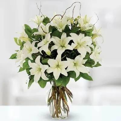 Stunning Purity (Classic)