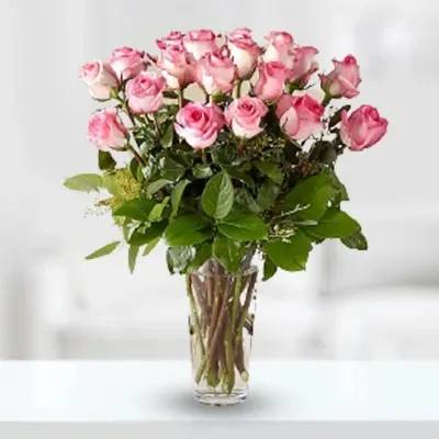 Perfect Pink (Classic)