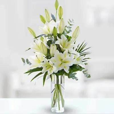 Stunning White (Classic)