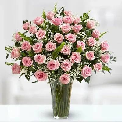 Amazing Pink (Classic)