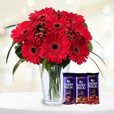 Red Gerberas Bouquet With Dairy Milk (Classic)