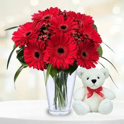 Red Gerberas Bouquet With Teddy (Classic)