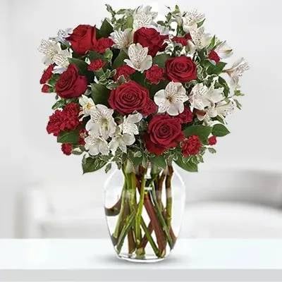 Carnations & Alstromeria (Classic)