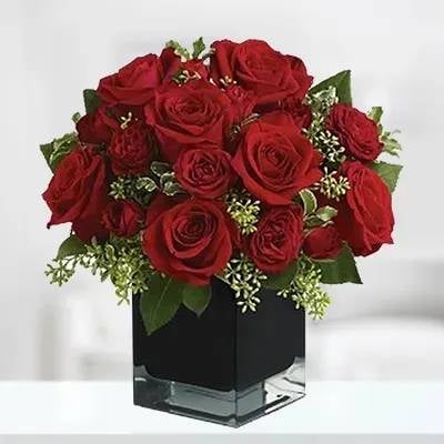 Delightful Red (Classic)