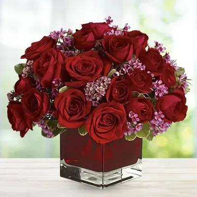 Someone Special (Classic)