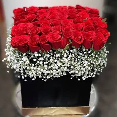 Red Roses In Box (Classic)