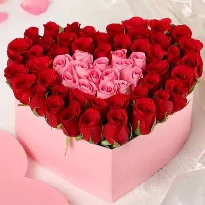 Red & Pink Roses In Box (Classic)