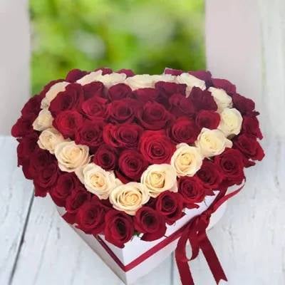 White & Red Roses In Box (Classic)