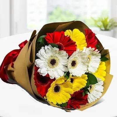 Mixed Gerberas (Classic)