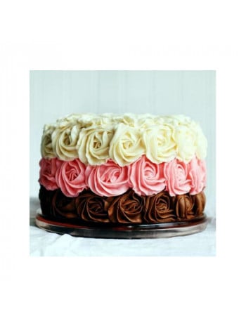 Cake C19