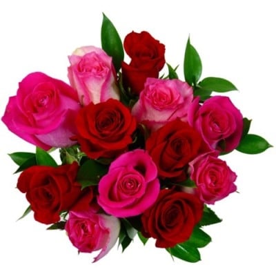 ROUGE ET ROSE