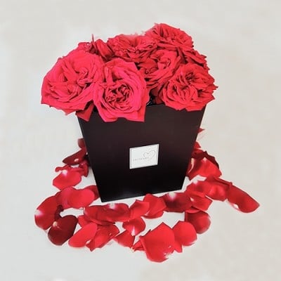 ROSES IN BOX