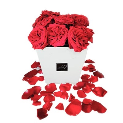 WHITE AND RED BOX