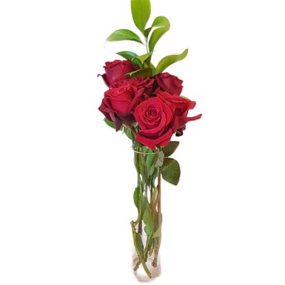 6 ROSES