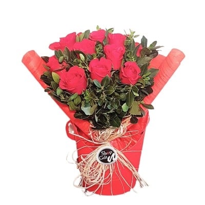 RED ROSES