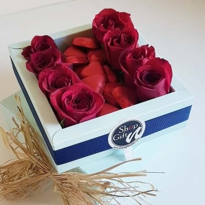 BOX OF COLORS