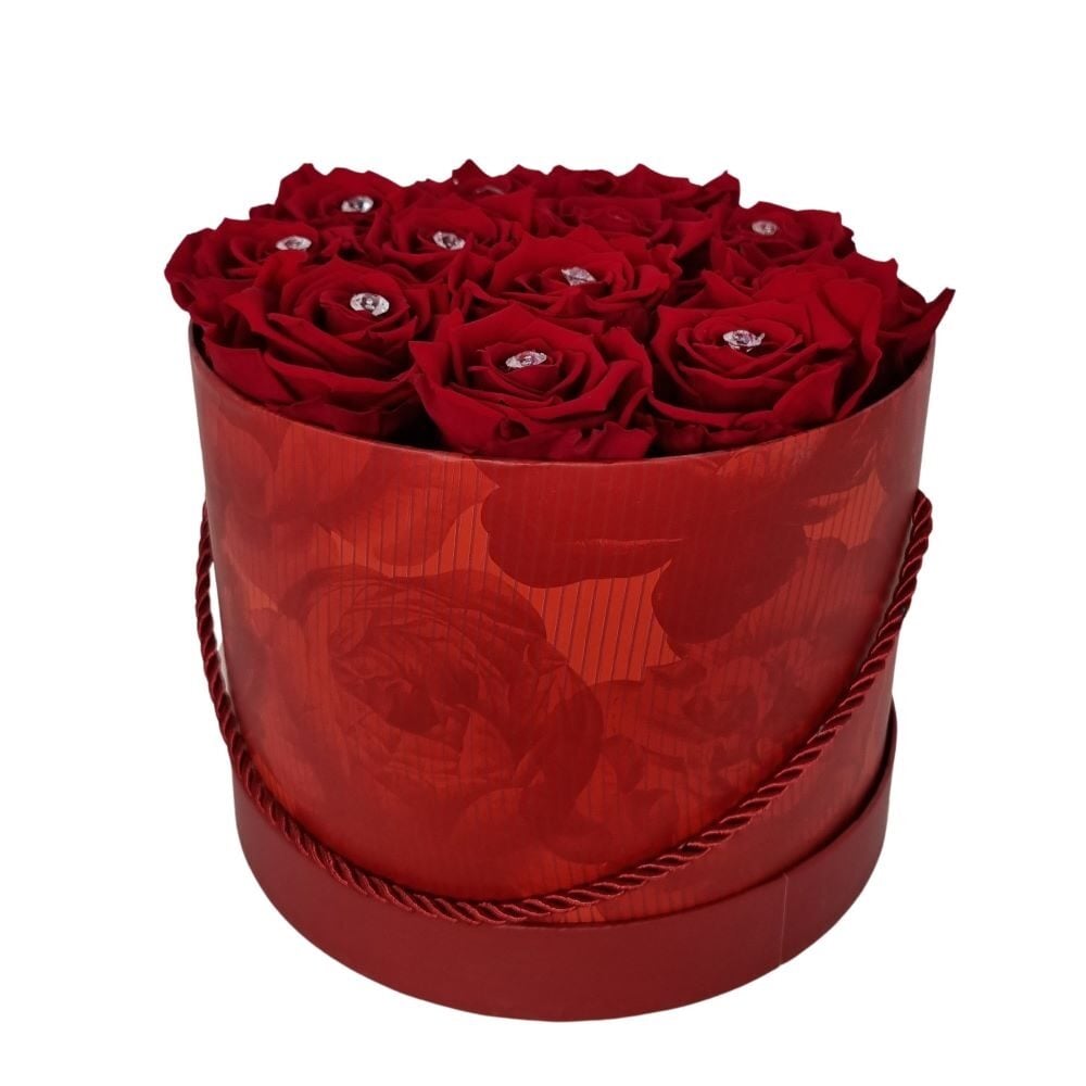RoseAmor red/red