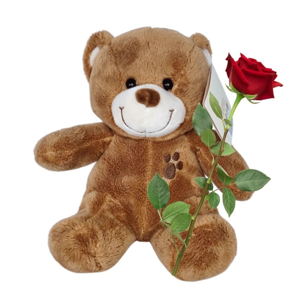 Cuddly bear romance