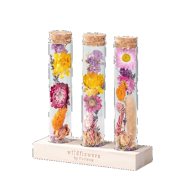 Dried flower Message in a bottle