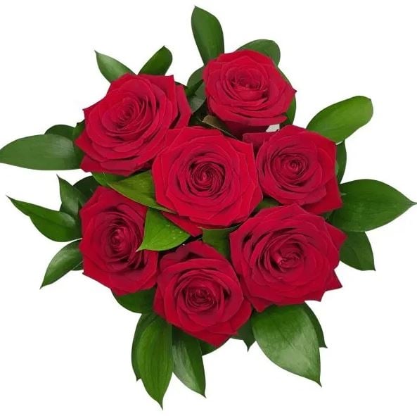 Red roses