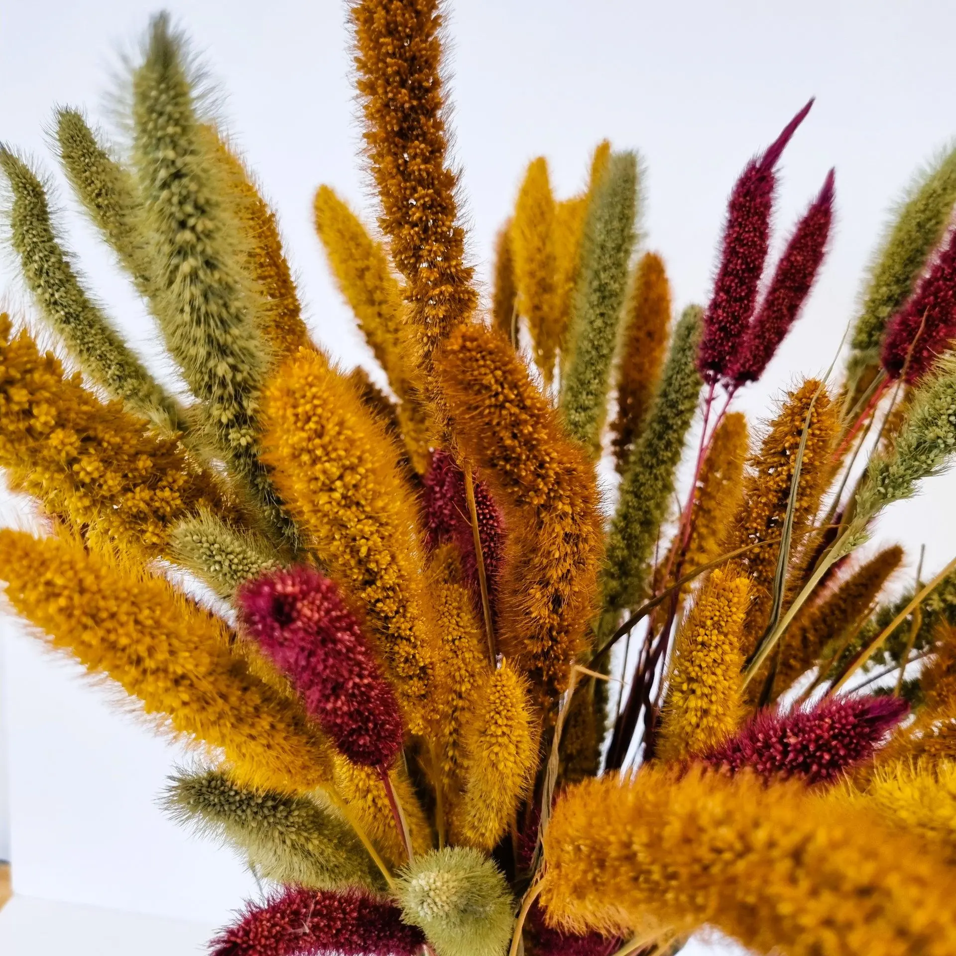 Dried flower bouquet SETARIA