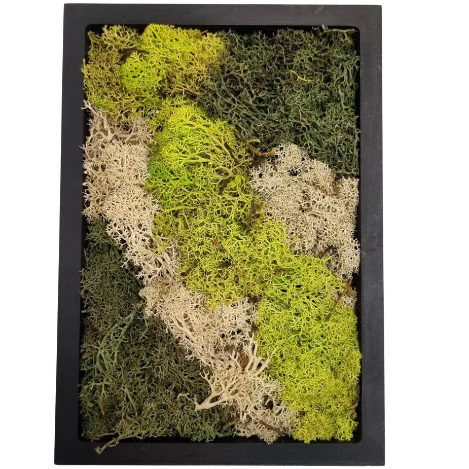 Moss Art rectangular