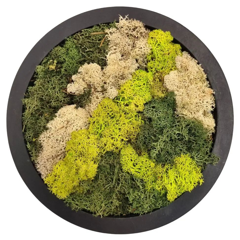 Moss Art round