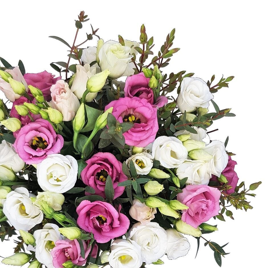 Lisianthus
