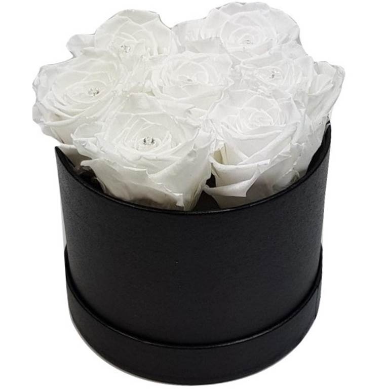 Rosebox 7W
